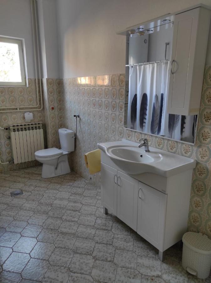 זאדאר Apartman Vlado מראה חיצוני תמונה